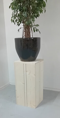 Sokkel hout met een plant in een pot er op